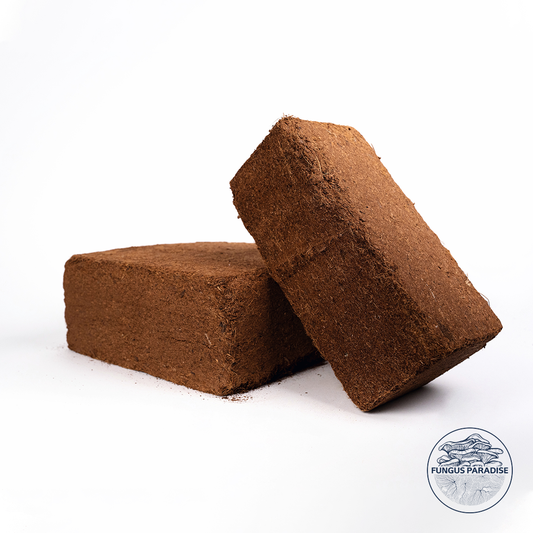 Fibre de coco 5KG