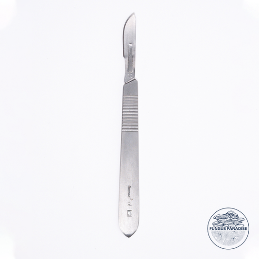 Scalpel + Sterile blades