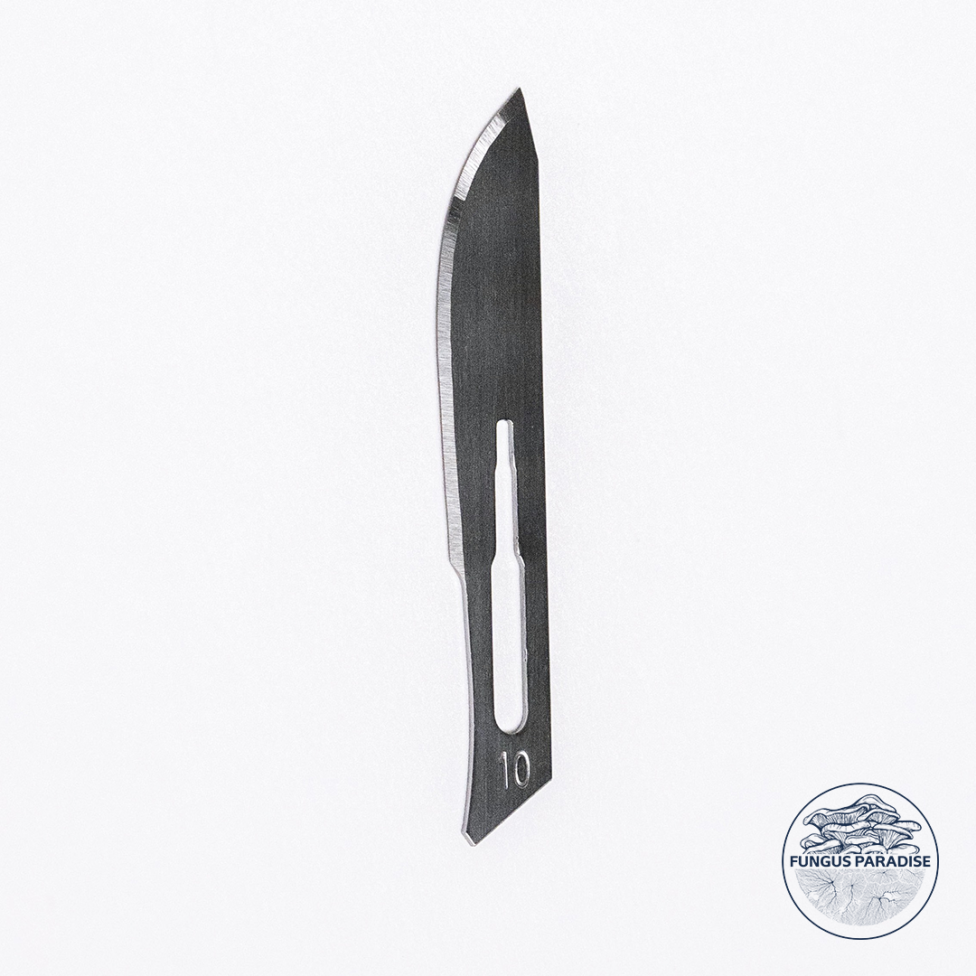 Box of 100 sterile N10 scalpel blades