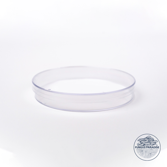 Sterile Petri dishes x 50
