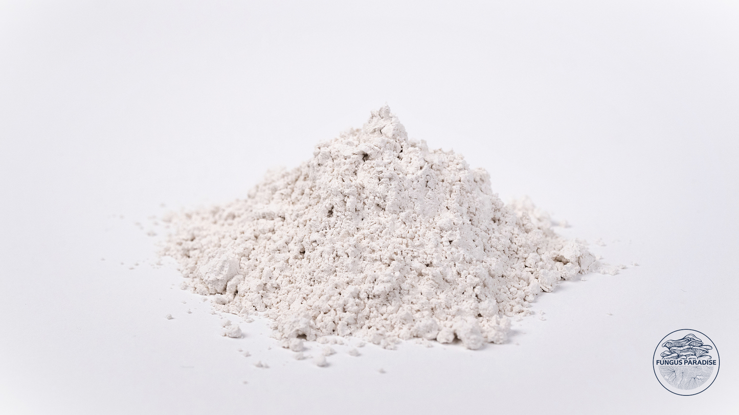 500G Gypse - Sulfate de calcium (CaSO4)