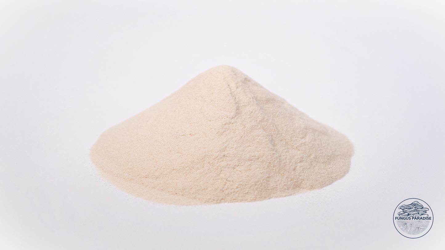 Agar Agar biologico da 500 g