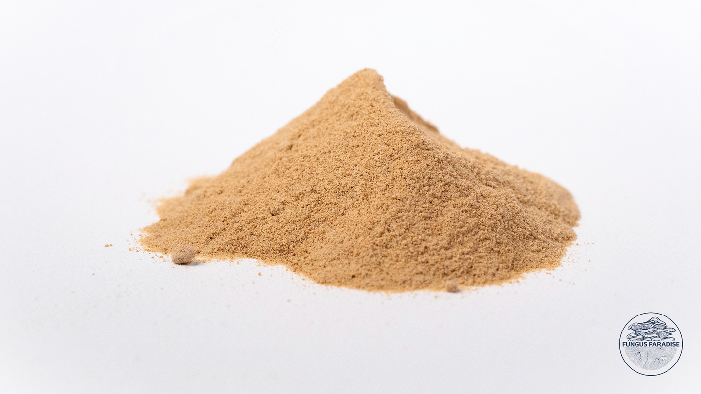 100 g di lievito alimentare biologico in polvere