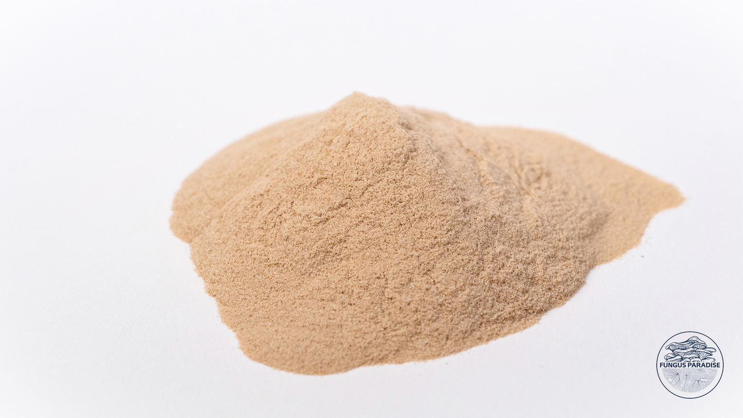 500 g de extracto de malta