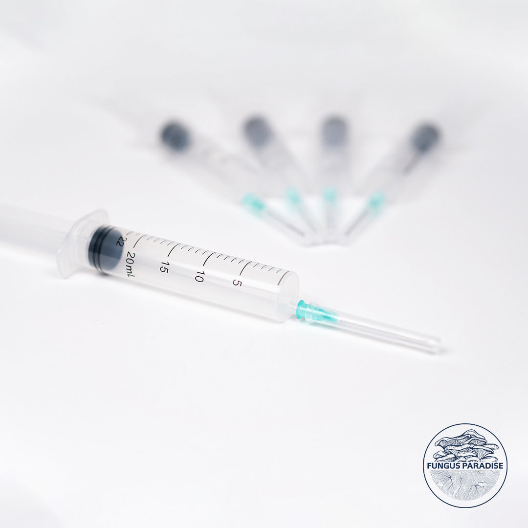 10 sterile syringes 20ml
