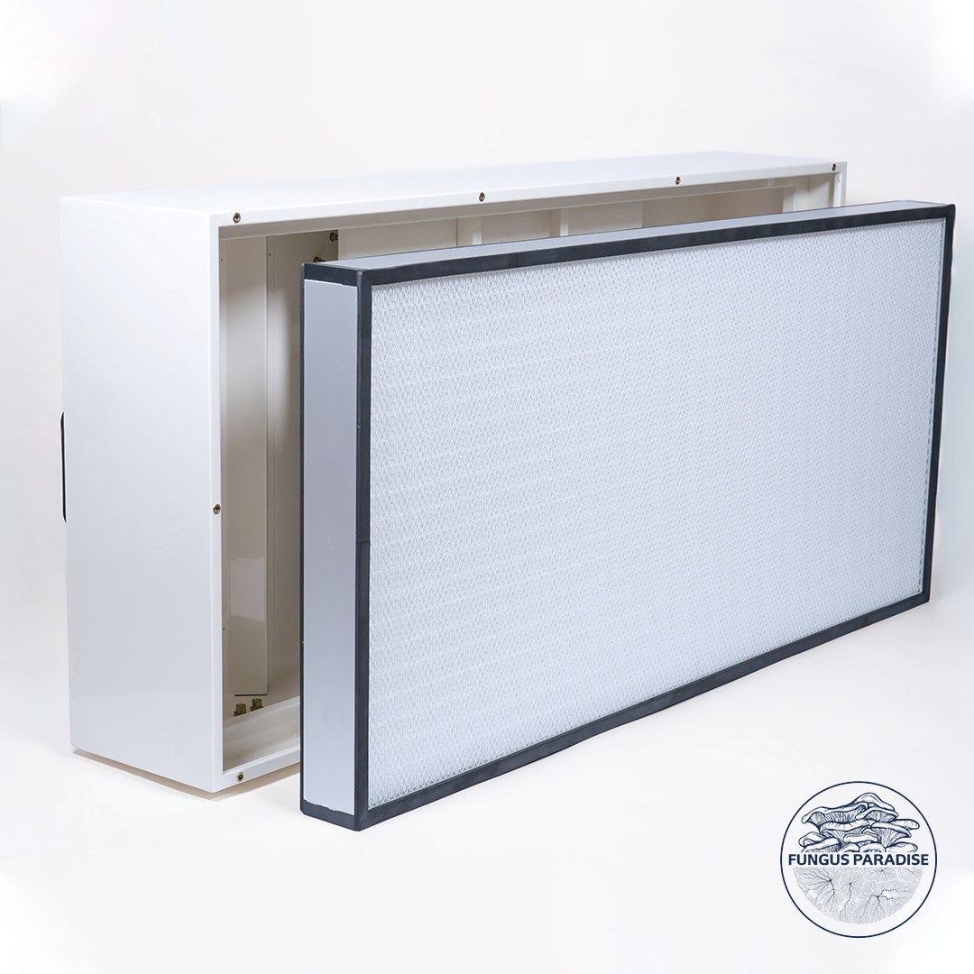 Hottes à Flux Laminaire