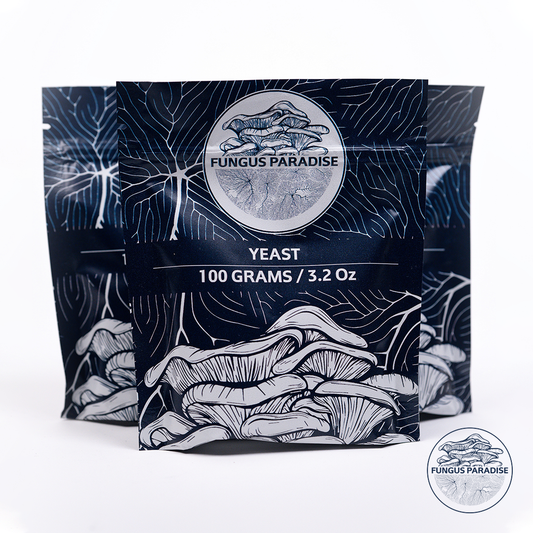 100G Organic nutritional yeast powder