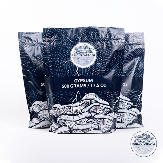 500G Gypsum ~ Calcium Sulfate (CaSO4)