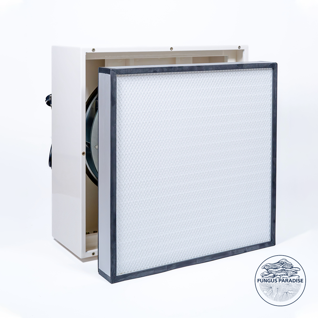 Laminar Flow Hood ~ Y600