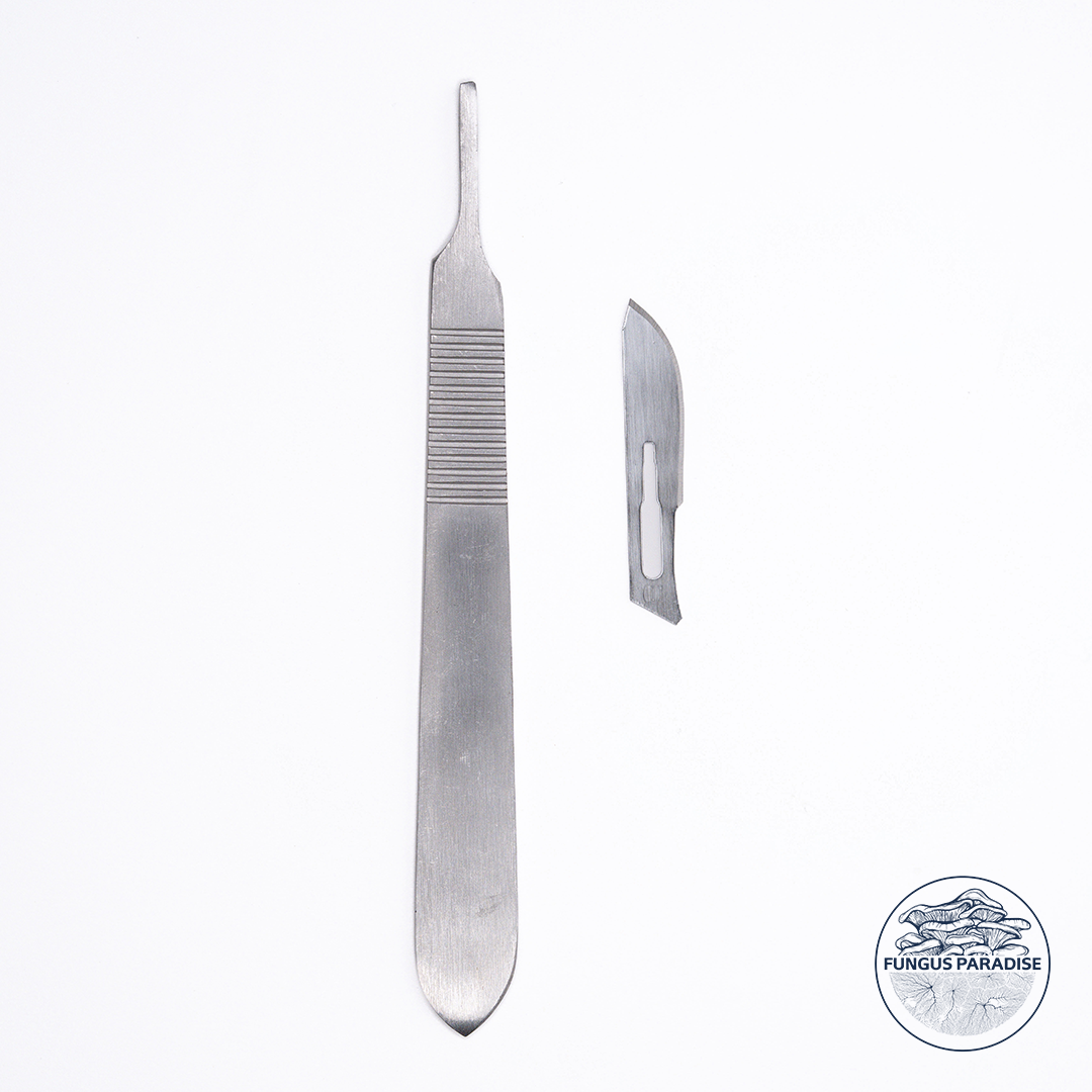Scalpel + Lames stériles