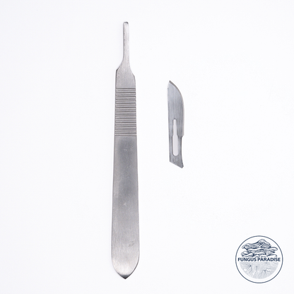 Scalpel + Lames stériles