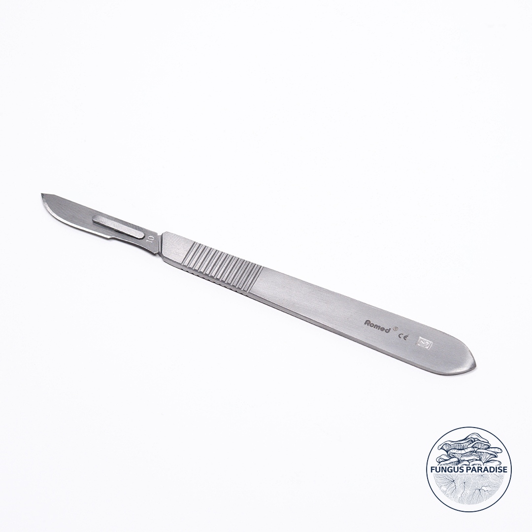 Scalpel + Lames stériles