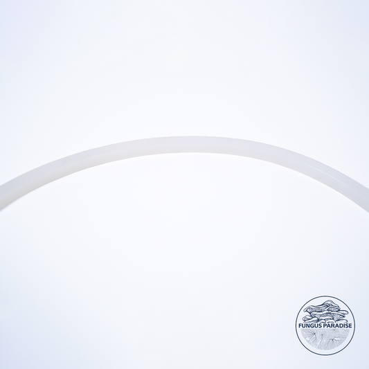 Replacement Sealing Gasket