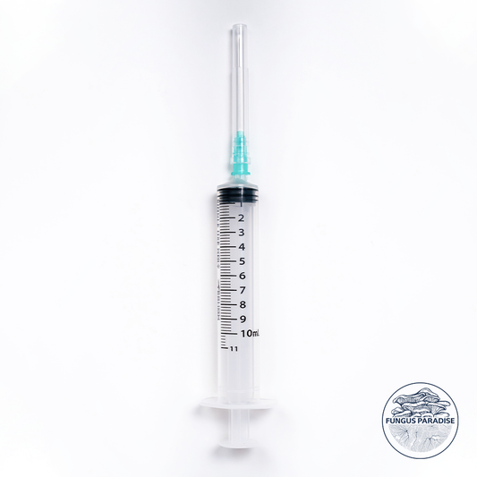 10 sterile syringes 10ml