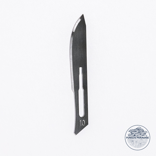 Box of 100 sterile N10 scalpel blades