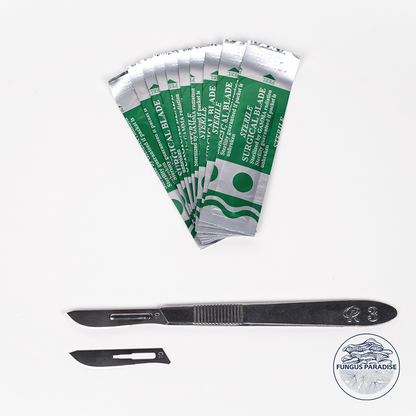 Scalpel + Lames stériles