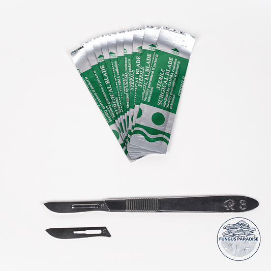 Scalpel + Sterile blades
