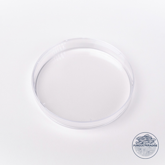 Sterile Petri dishes x 50