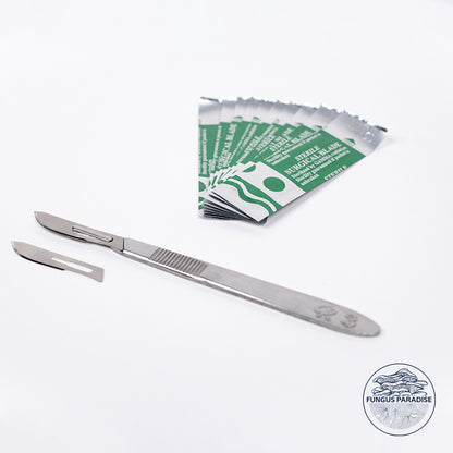 Scalpel + Lames stériles